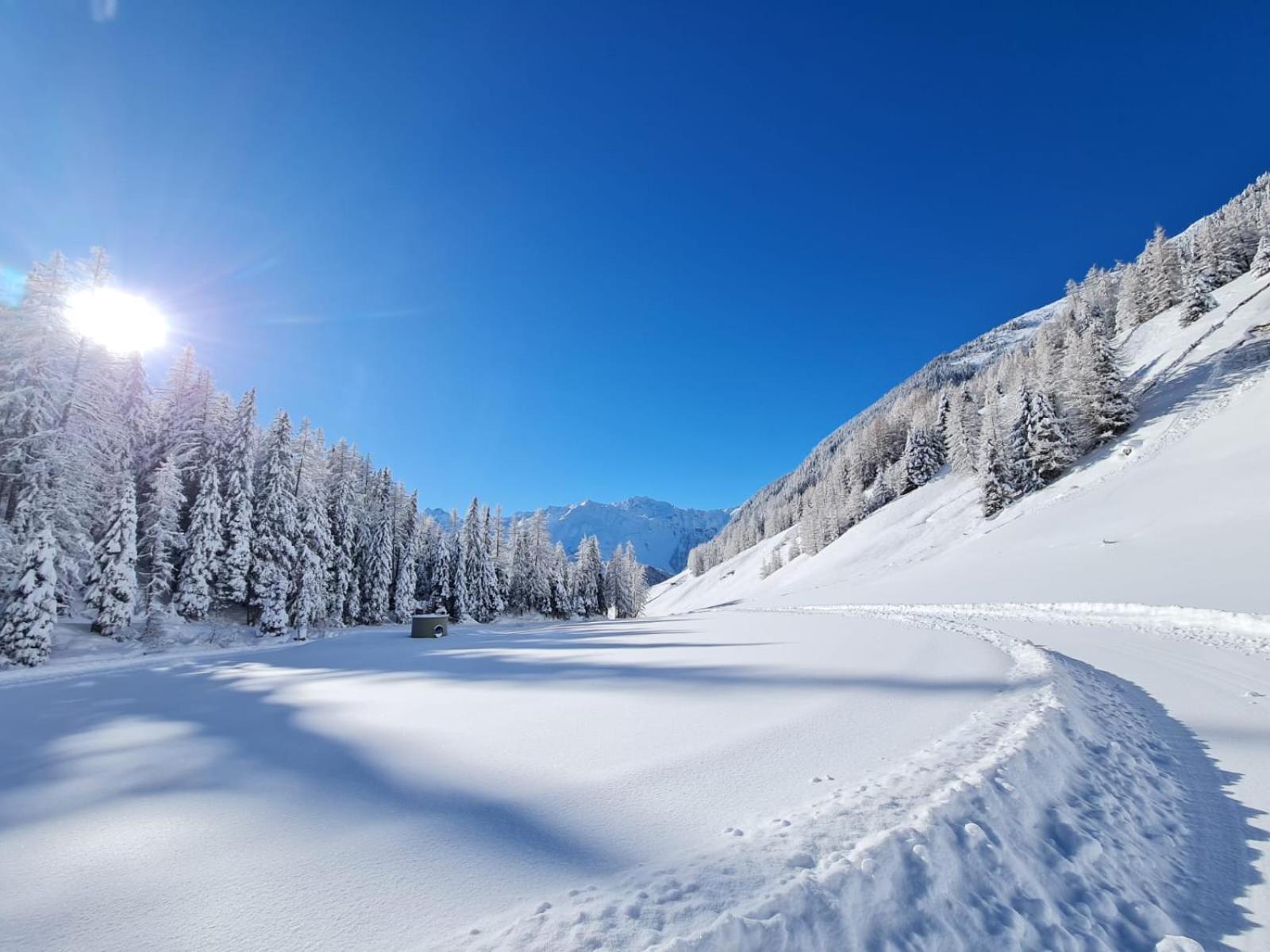 Alp Niederthai *
